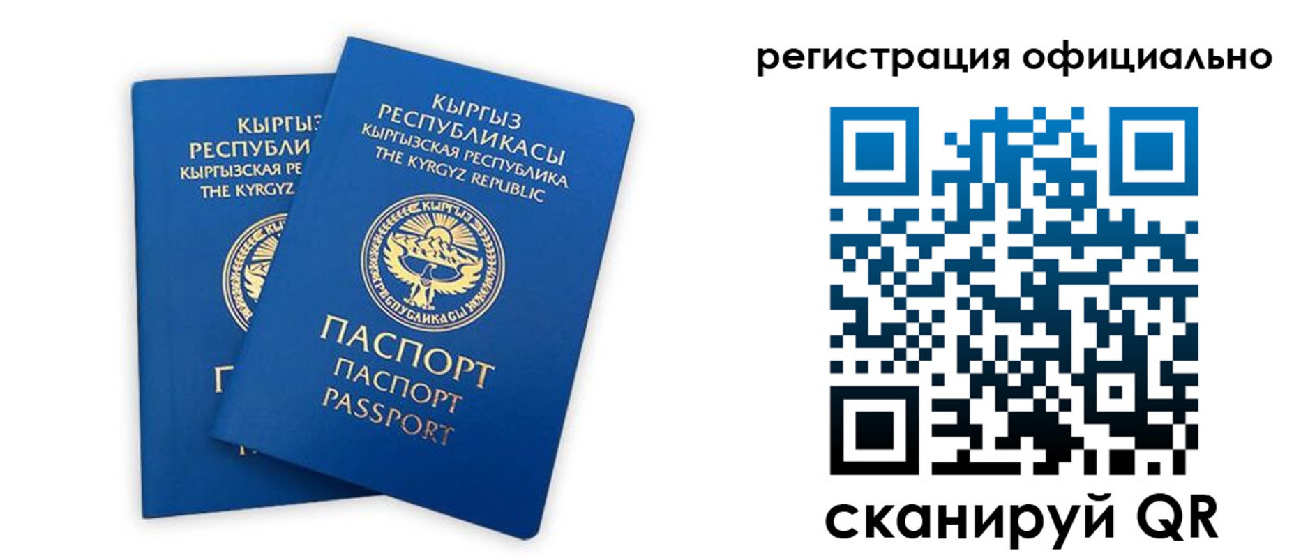 прописка поиск в Заполярном